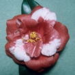 Valerie Variegated